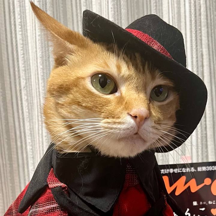 480b486d f780 4330 9f38 78f0bc642668 1646135605597