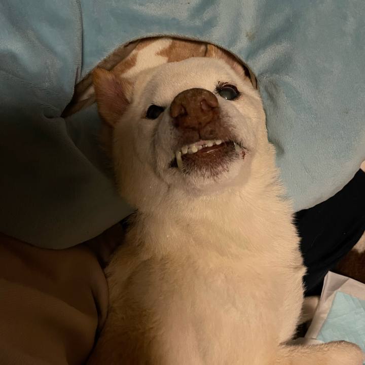 480b93d0 380c 48ad a852 cd78fdbd45d5 1678825191529