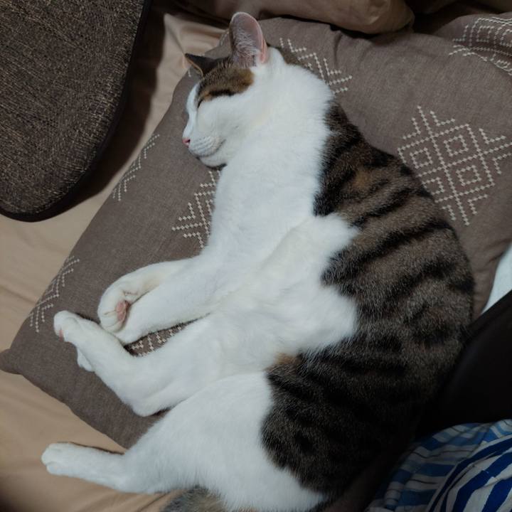 480be4b7 984e 49e5 b55c 52118960b0e8 1656152323952