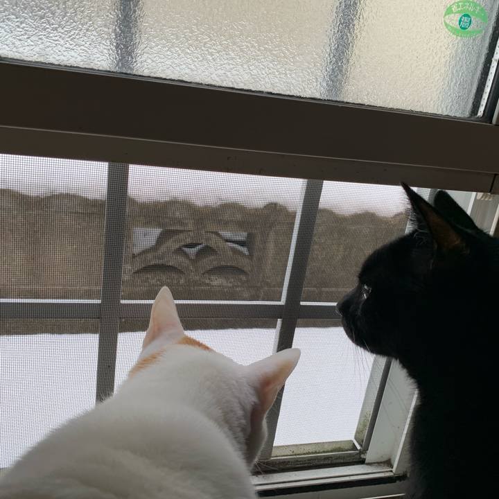 480beacf 526a 4a32 9cbd c62205127aa1 1610209603140