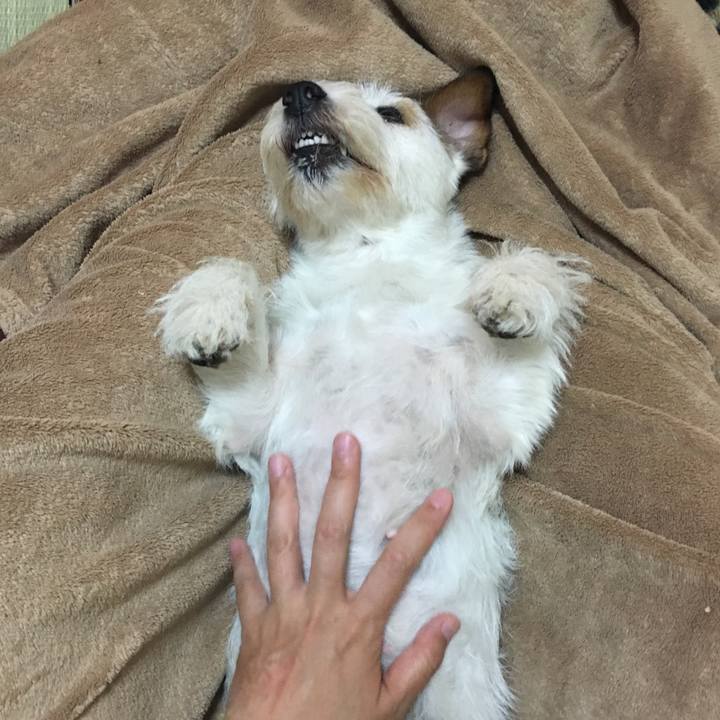 480bf5d4 c074 4b3d 9cca a8176fbcfcb1 1531474024605