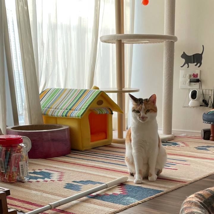 480c05c6 df07 438c bfef adea4276f65a 1619253234402