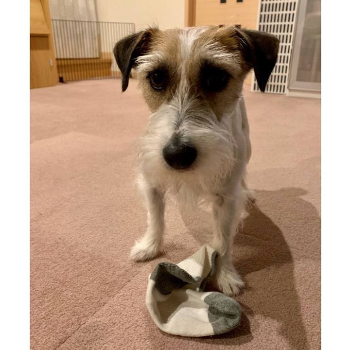 480c0676 e989 4abc 8226 7b6880e83be0 1650801609680