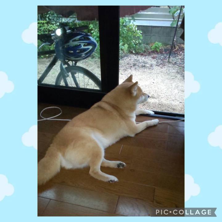 480c35dd e108 4d3c aca5 d3176f955628 1754518696844