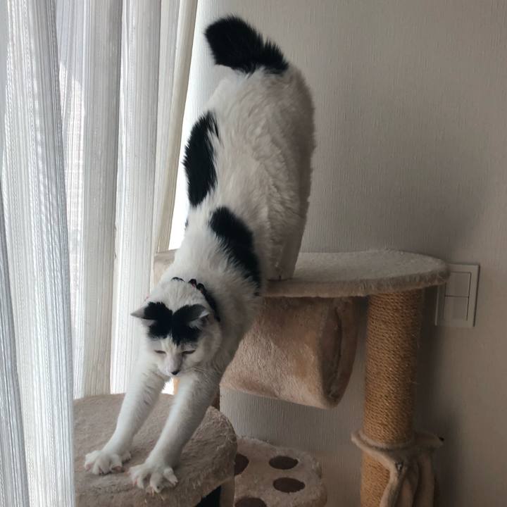 480c39c0 9df2 4f97 ad9a d8d614fcf0cd 1547368125336