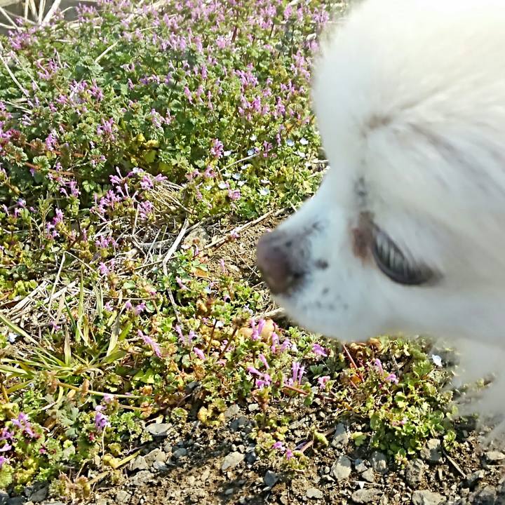 480c4f40 77b1 4b41 8faf 55ba82930c3d 1520748085172