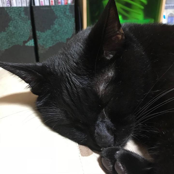 480c703b d99b 4562 8c78 34fcf6d73a44 1537020015646