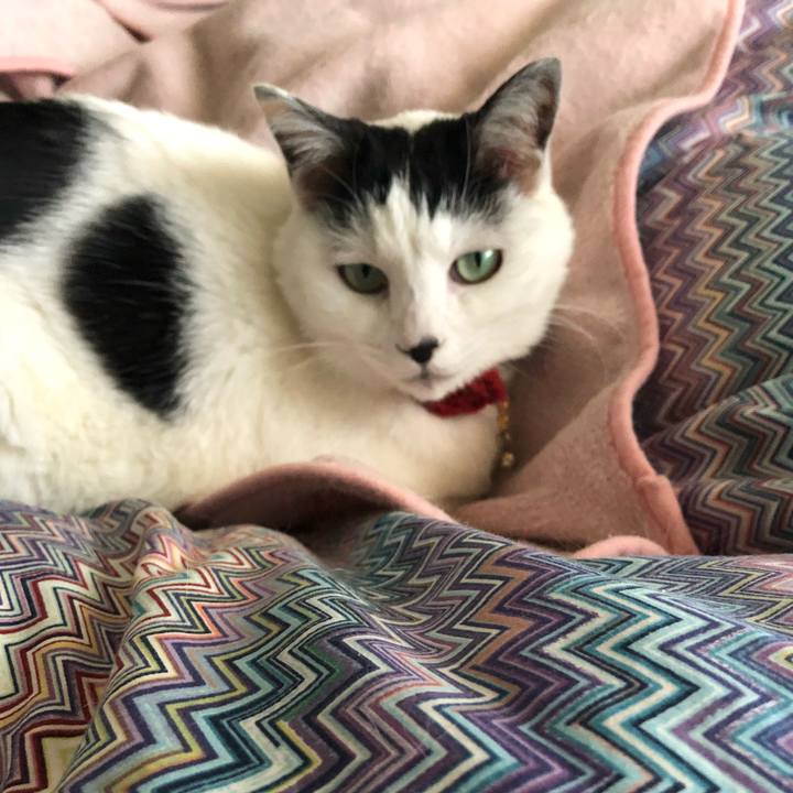 480c7bdd 21d9 4502 9962 50c4dfc0ccf2 1520896682623