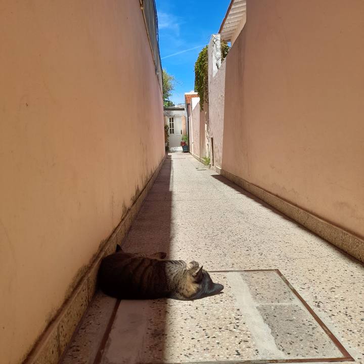 480c7ddd 7cd9 4301 bdac f55bf131b9bd 1771843818208