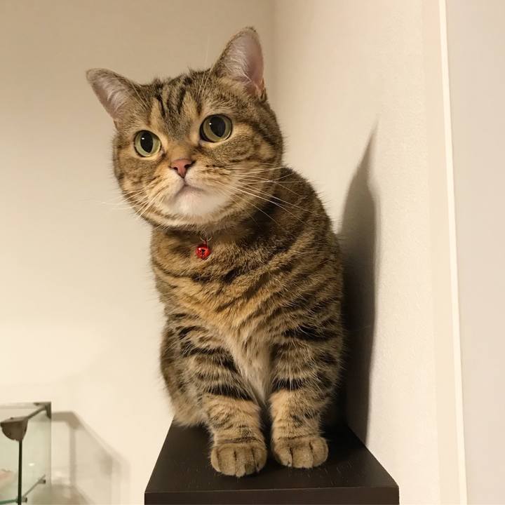 480c841f ea33 4404 b6fb 46f89f8d6b7d 1554861430940