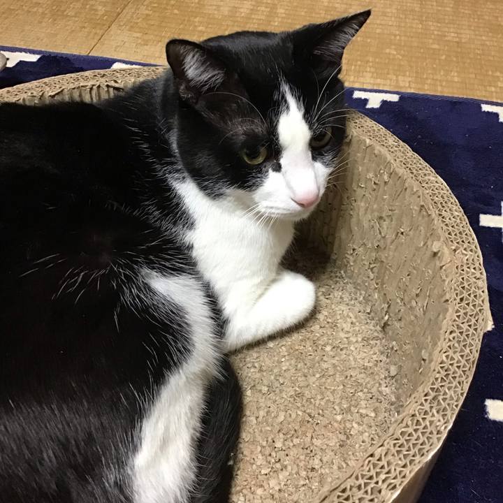 480c97ea 96be 4214 bdb3 93452695093f 1737017675856