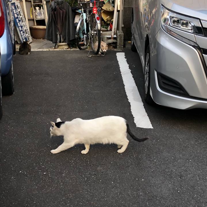 480c9d2d cd5a 4551 b994 58d68b9936ee 1638015274070