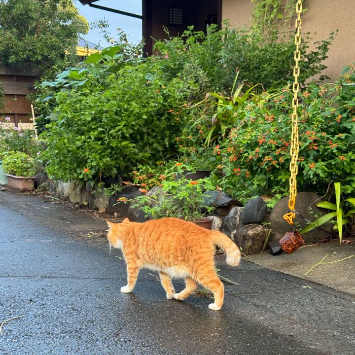 480ca017 5bba 4ada 8414 dbc1b689062b 1758416034125