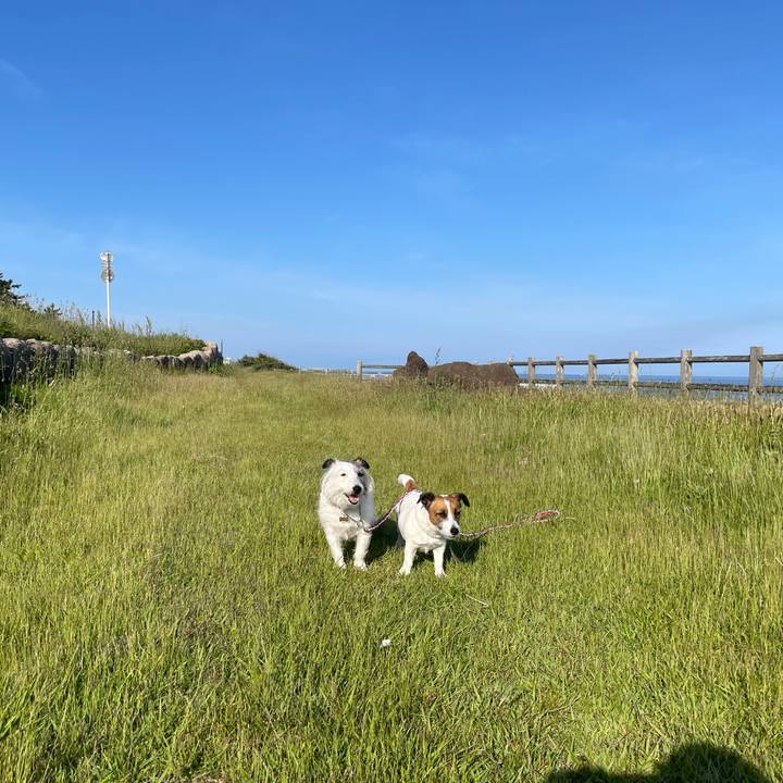 480ca94d f2d7 48f9 9bab 1b229ff4a957 1717635268762