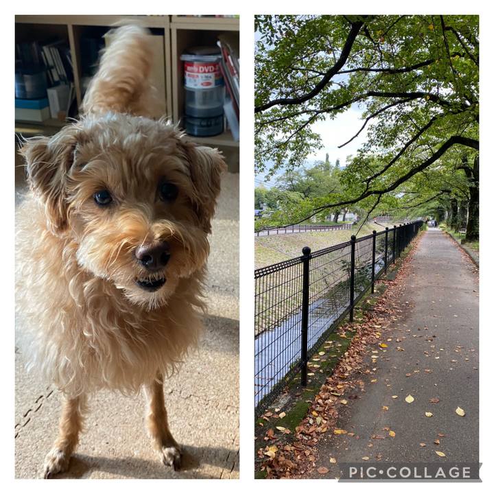 480ccbce 833d 46a6 9809 9f29634bf881 1630221068334