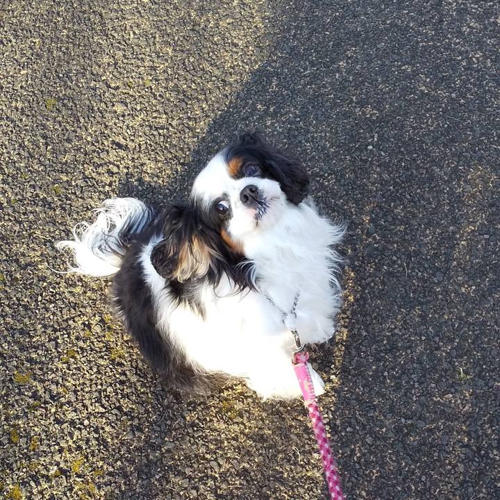 480d1266 1db9 4a47 9c37 e5037a02c282 1585125553779