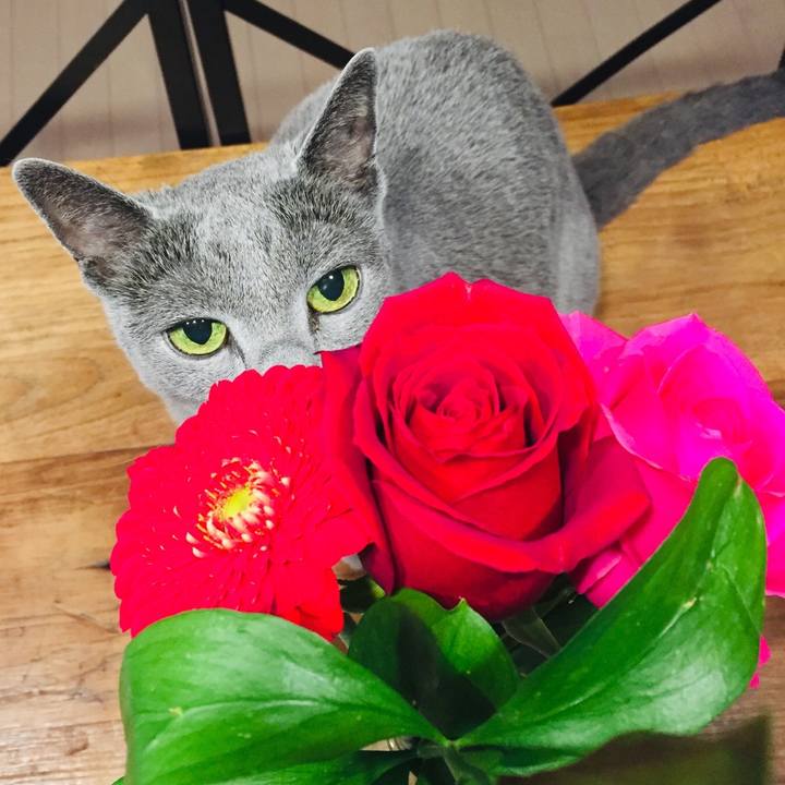 480d28ef f793 4acb a662 1e45b047bd0f 1550013277068