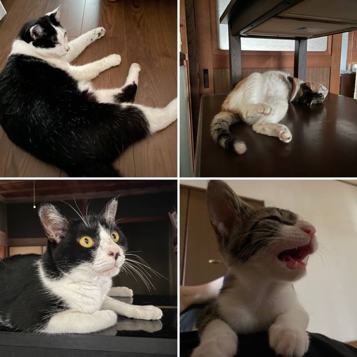 480d6ffe 5cac 4b8a 84d3 314a2bcb01b8 1722928798413