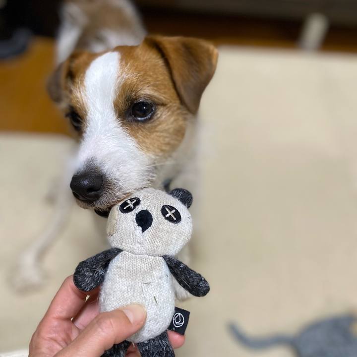 480d7fd1 30df 452e 95ab 2124c5171990 1683452296791