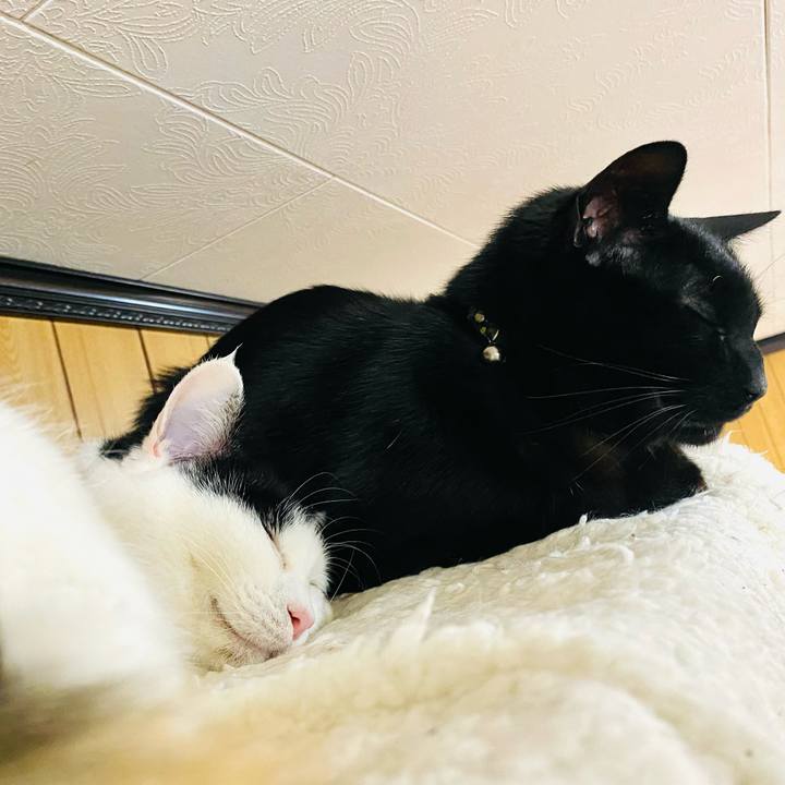 480d8f31 8373 4a32 aa8d 878c27f372a4 1681131251763