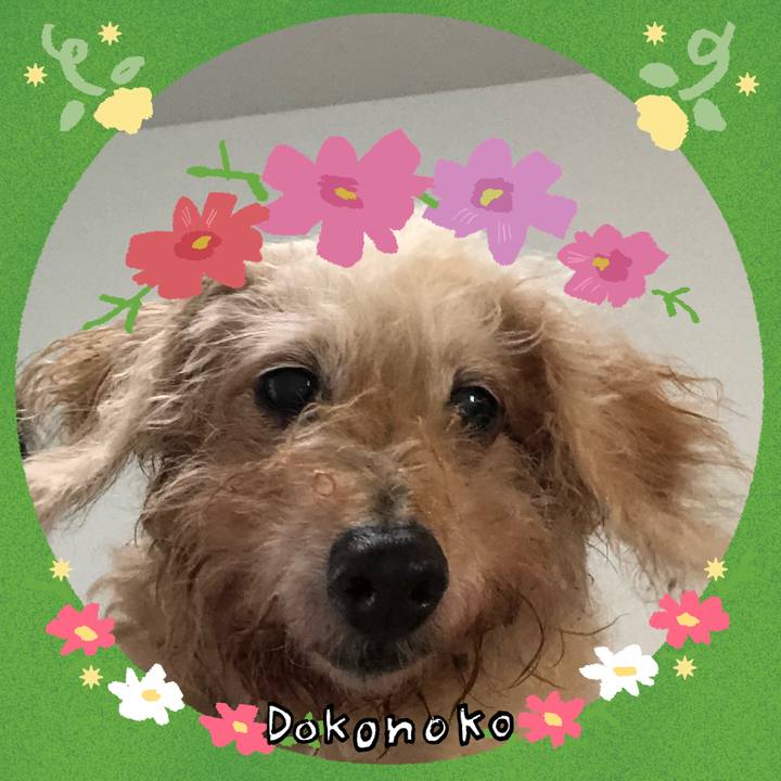 480d9d83 633d 40b8 bfcc 26fc88731fd1 1727058374264