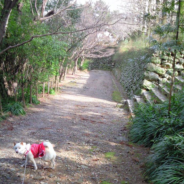 480dd5f0 9405 4c49 8f9a f6d99274af3c 1678115341323