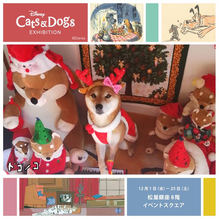 480dec68 7116 475e 8a89 c33336ca1140 1639800414454