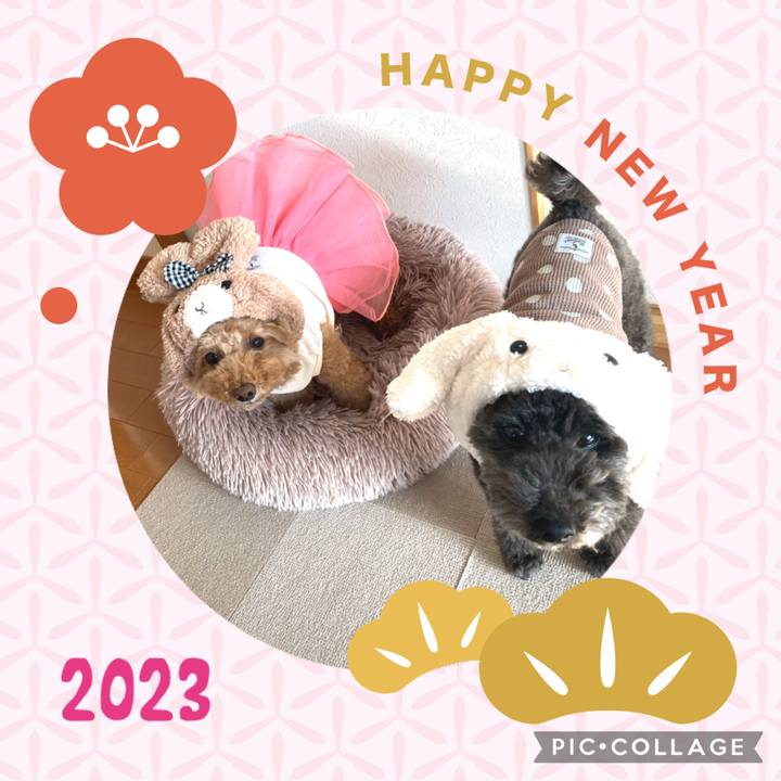 480e32a5 94b6 4e39 8b87 25adb5e28828 1672551713831