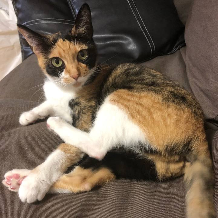 480e6cb0 f7b3 4950 b935 e02751568e30 1562329597244