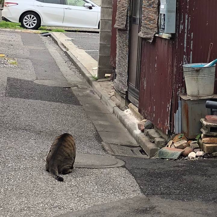 480e81c7 d500 4c89 9d5f 72678f00f689 1536653156406