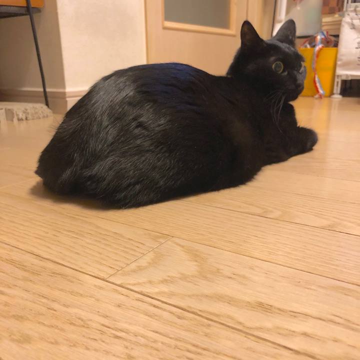 480e9009 aeb3 4ec9 a67c a3cffab91fdb 1555765896816