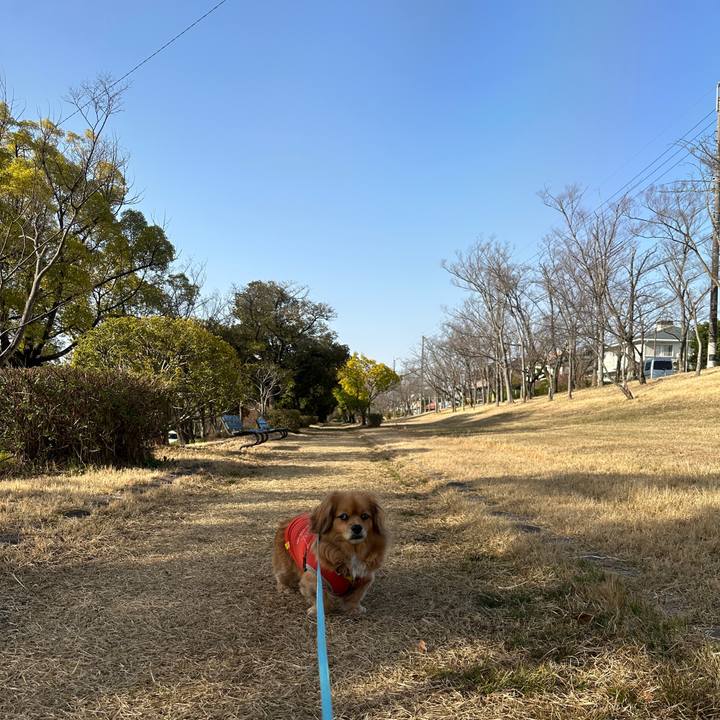 480eb7a0 e298 428e b5f1 f776ce830e5a 1678492889999