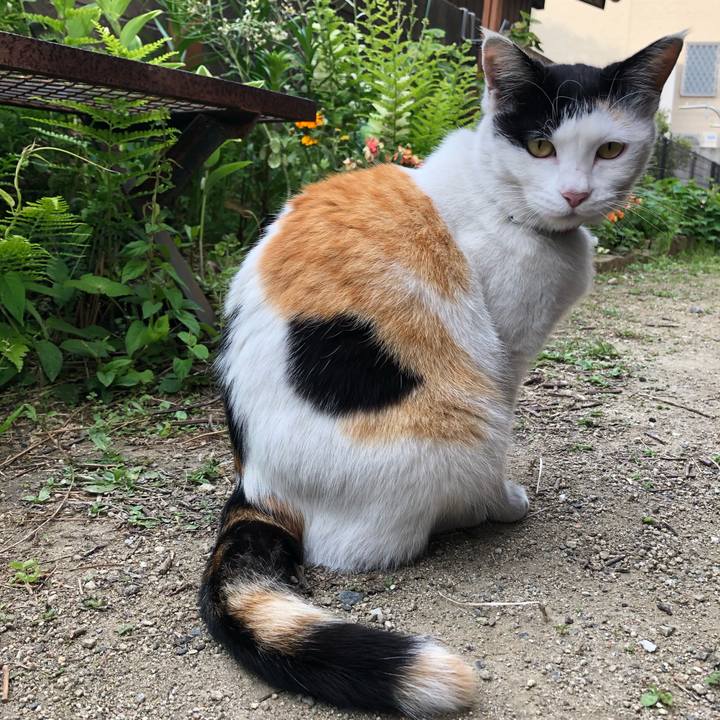 480eba2d 3b63 4963 a2a5 3d2c8ebf94bf 1618180362065