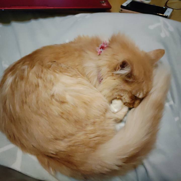 480ec3ba e500 4db2 964b 032299186339 1673946669437