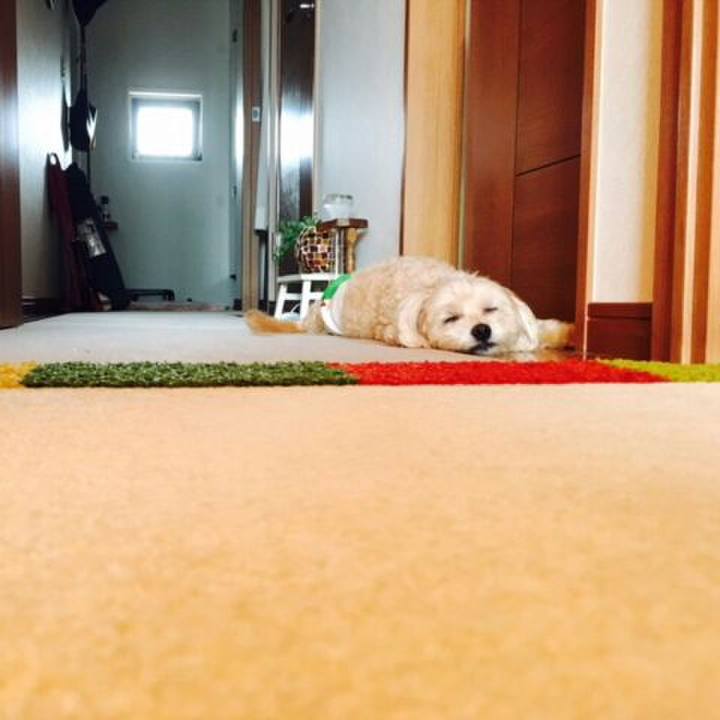 480ece12 31b0 4372 825d 017852c633ba 1565561580412