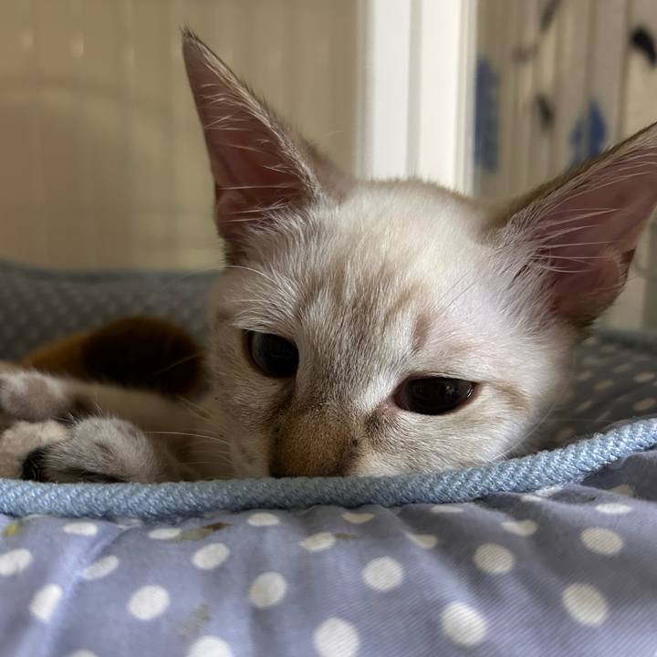 480ee192 09ad 490e 9e05 3e2a1a644bf9 1724929926105