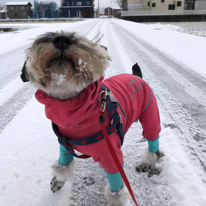 480f1eec 02de 4ef6 b65c 7d01a826897d 1609384021422