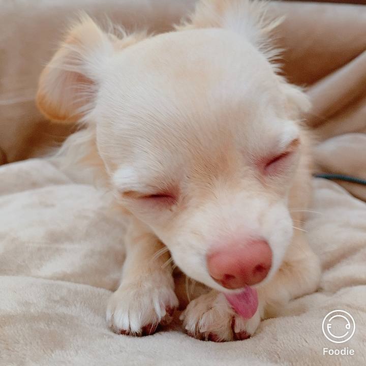 480f2a0e 8688 42bb 9f33 d366b75f5a52 1612669146199