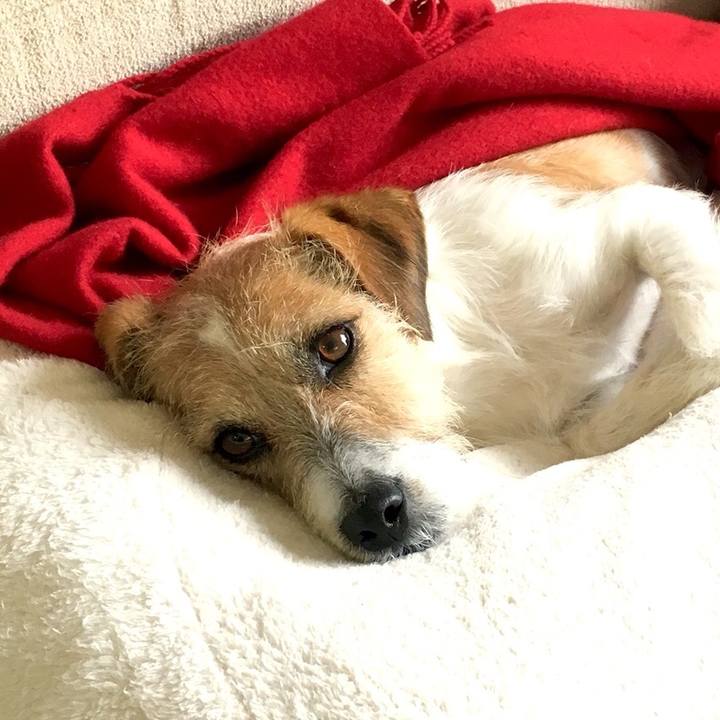 480f2d24 cbb8 4393 9ec1 15f8153800b4 1544143697967