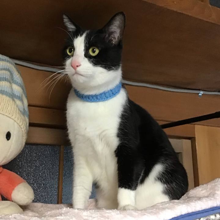 480f6ff1 6d58 4cbf 9981 9ad664c155a1 1746788561537