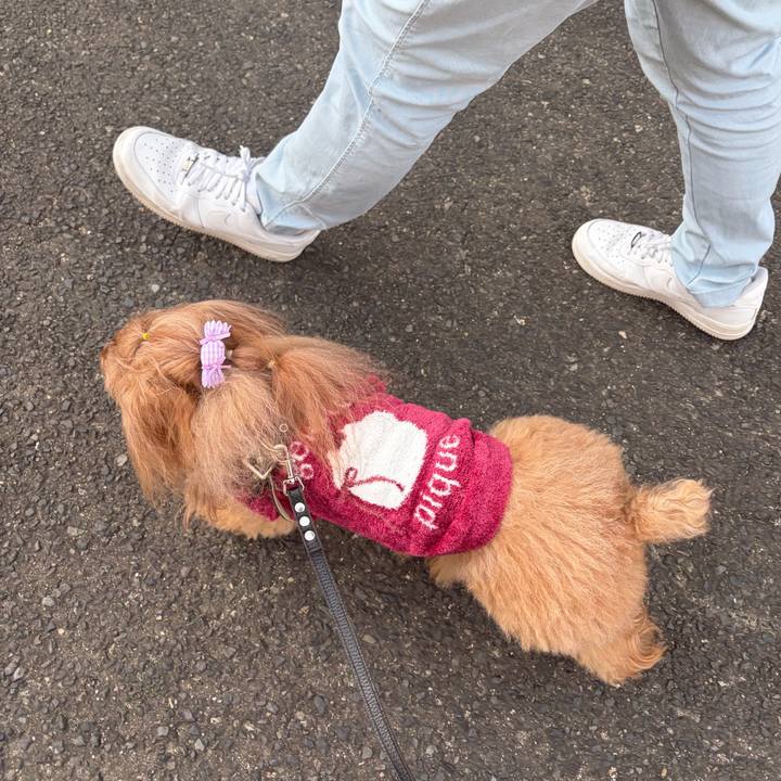 480f98eb a8d0 4683 b253 89da64d9da70 1771829231902