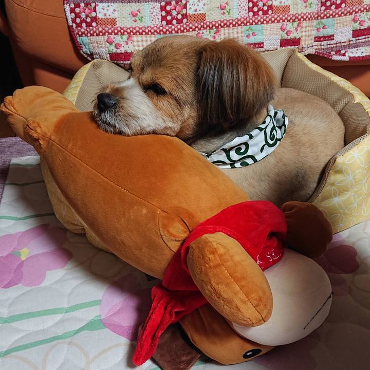 480fb23b 7feb 4086 b552 ede4329da59e 1560074464933