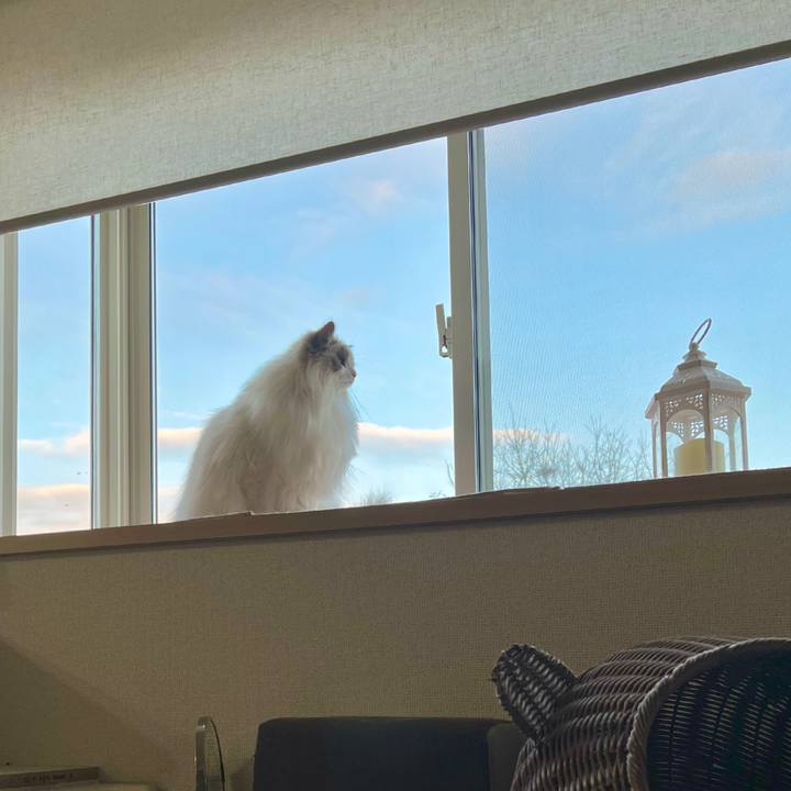 480fdc52 77f5 4346 b9ee b6d7dd15866d 1642972383955