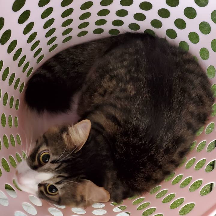 480fdd58 f872 434e ac0f bb9906613da3 1665566475275