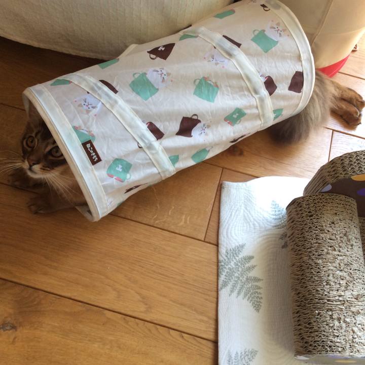 48101f06 4f6d 4567 9480 fde7dcdfc336 1588310258271