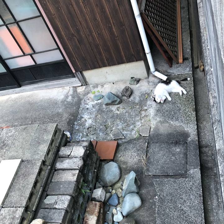 48103615 066b 425a 91f2 5ac2867a40b6 1654168136946