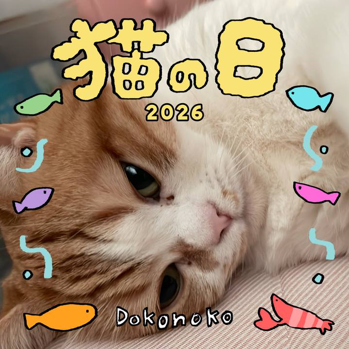 4810672b 3d35 476d 8ed8 21a4ce2cc83c 1771741109498