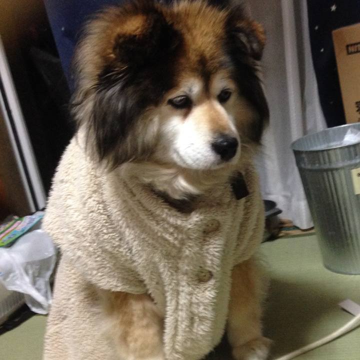 4810775a fdd1 4a02 b523 43397b34cfb0 1606869977022