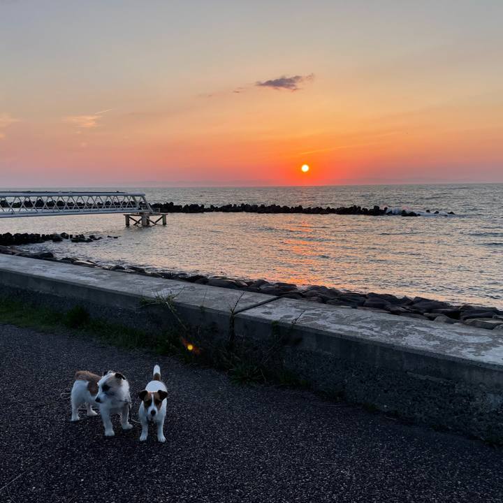 48107827 e79c 4bf7 a55e be09758d8448 1683714743457