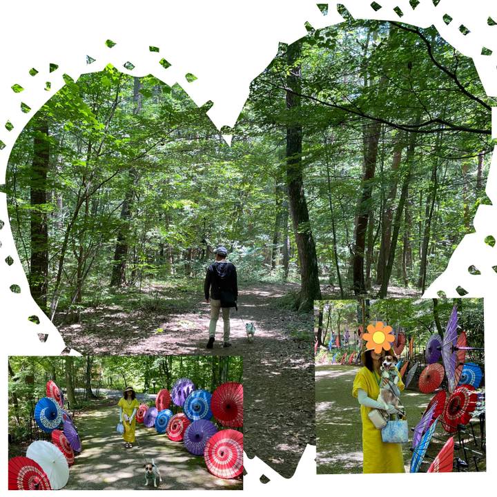 48108c2d 970f 4c4b 8303 cd96d9c767ae 1691317005978